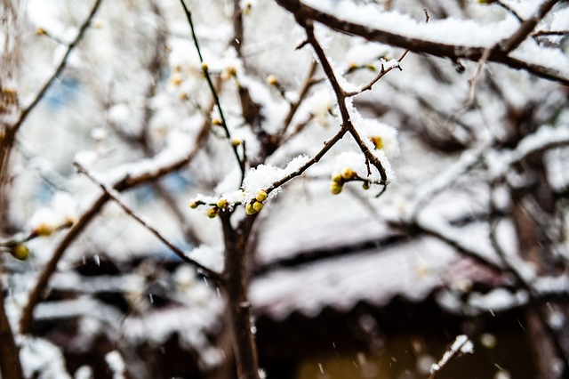 众面