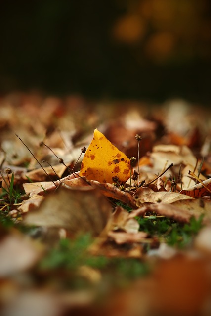 特别是和曼 特别是和曼