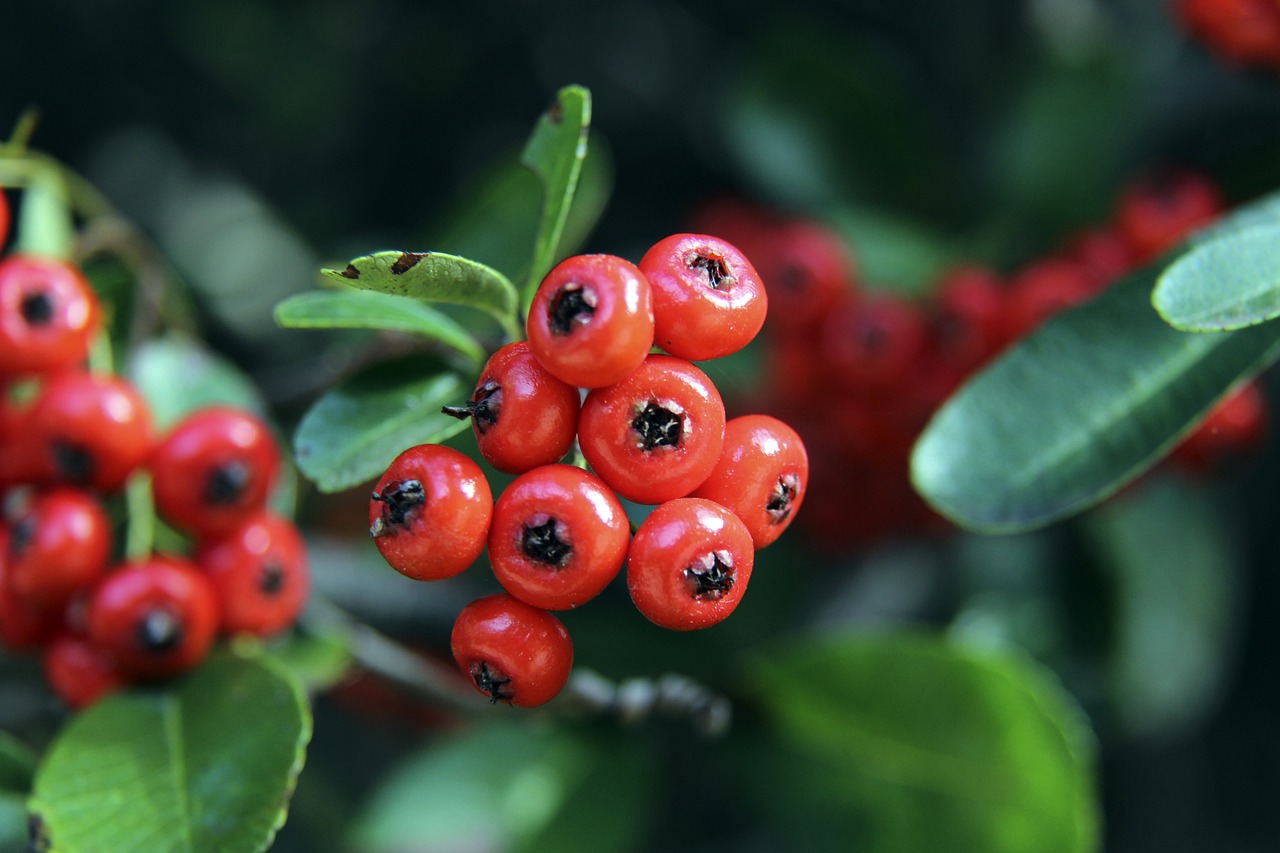 一步将是又 一步将是又