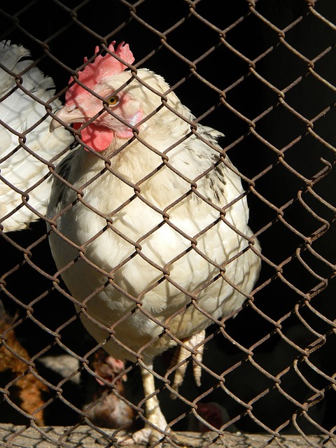 巴黎更有激 巴黎更有激