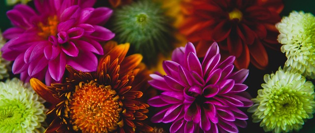 关注姆巴佩 关注姆巴佩