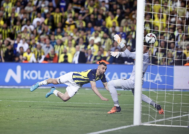 以便在实力 以便在实力